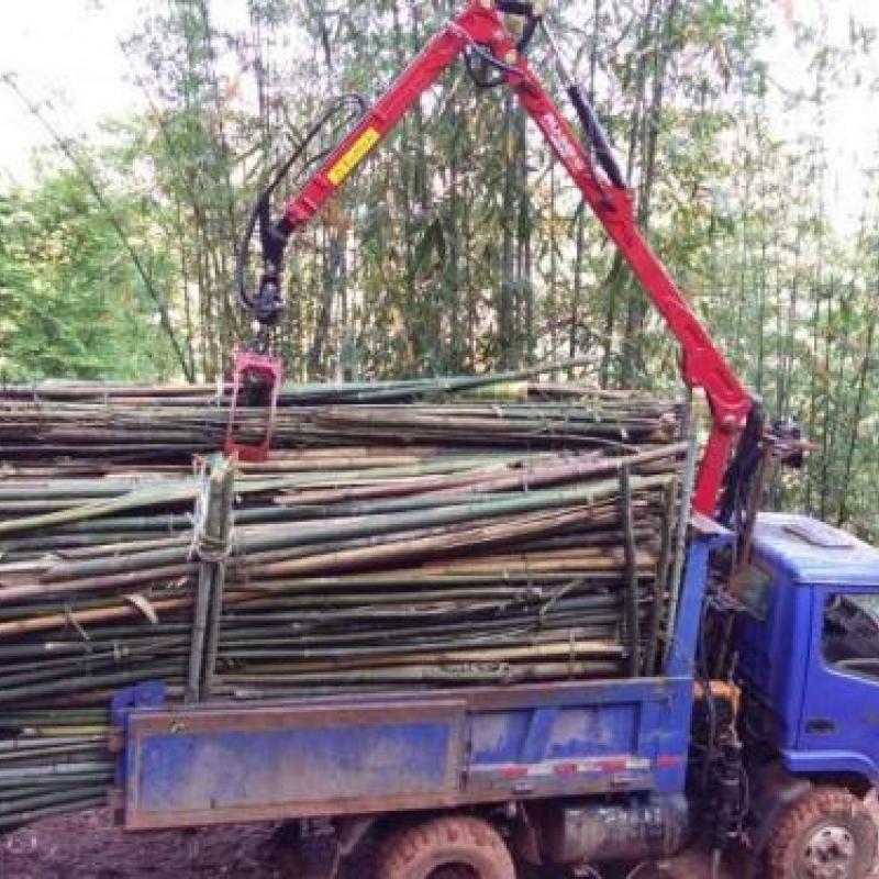 timber grapple